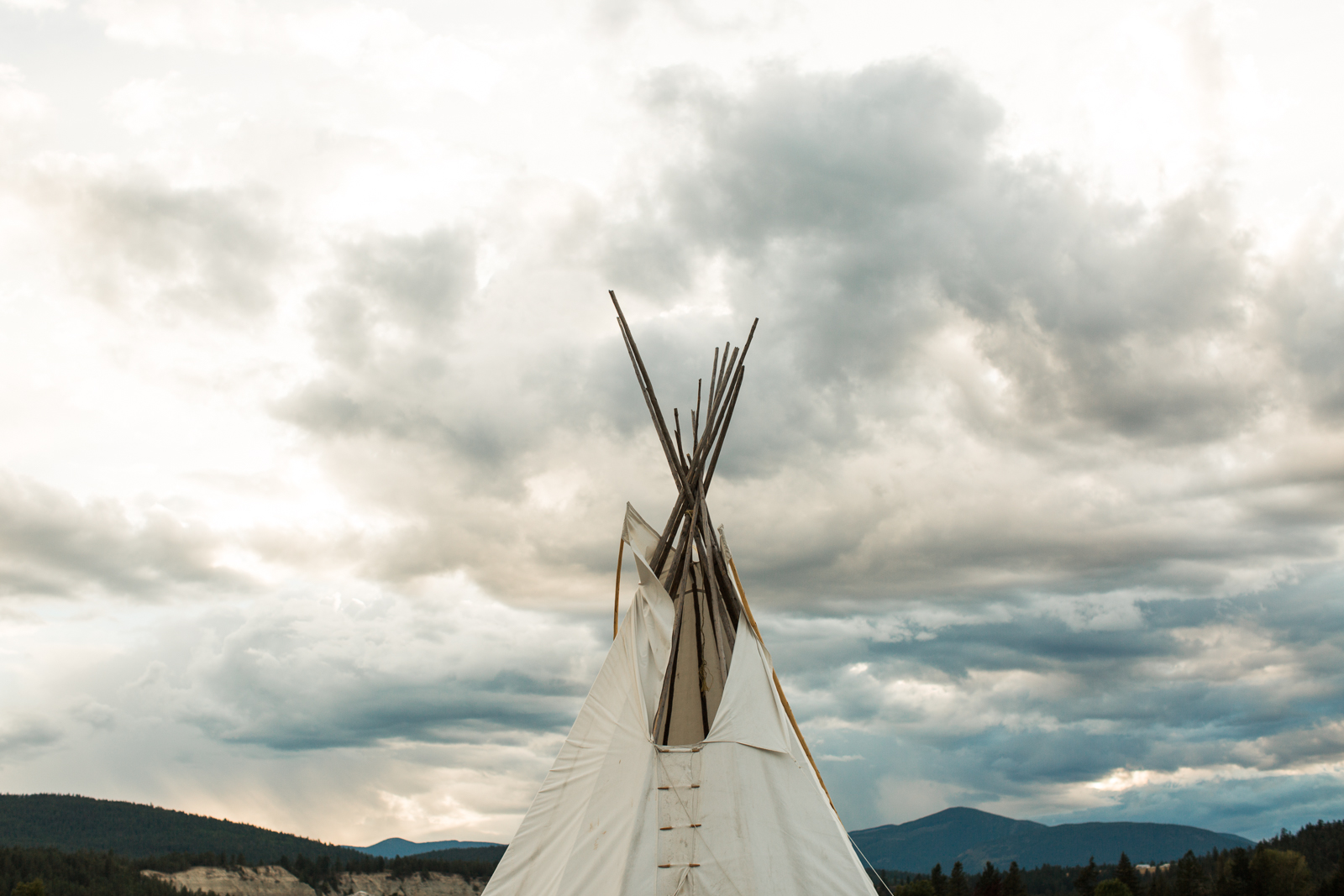 57-willow_and_wolf_photography_nicole_and_gary_cranbrook_wedding_blog