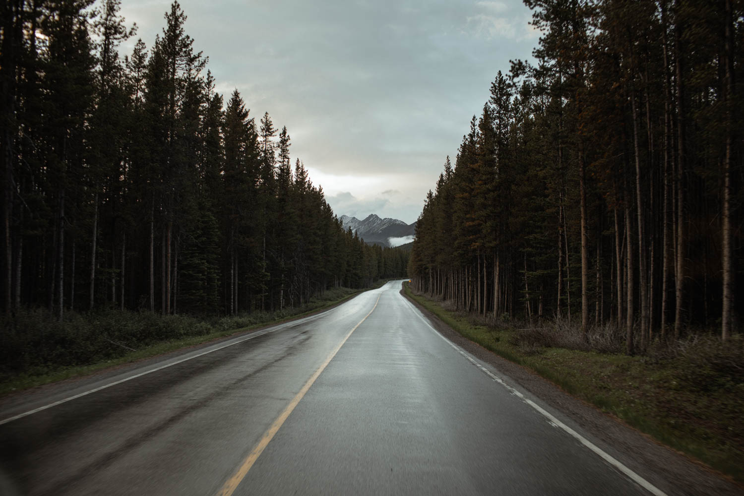 Kananaskis drive