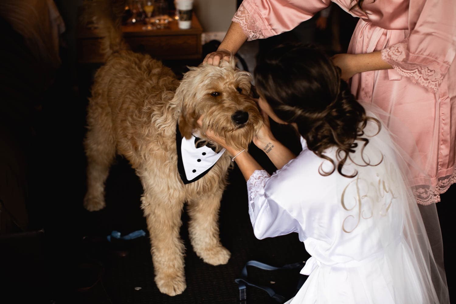 wedding dog outfit