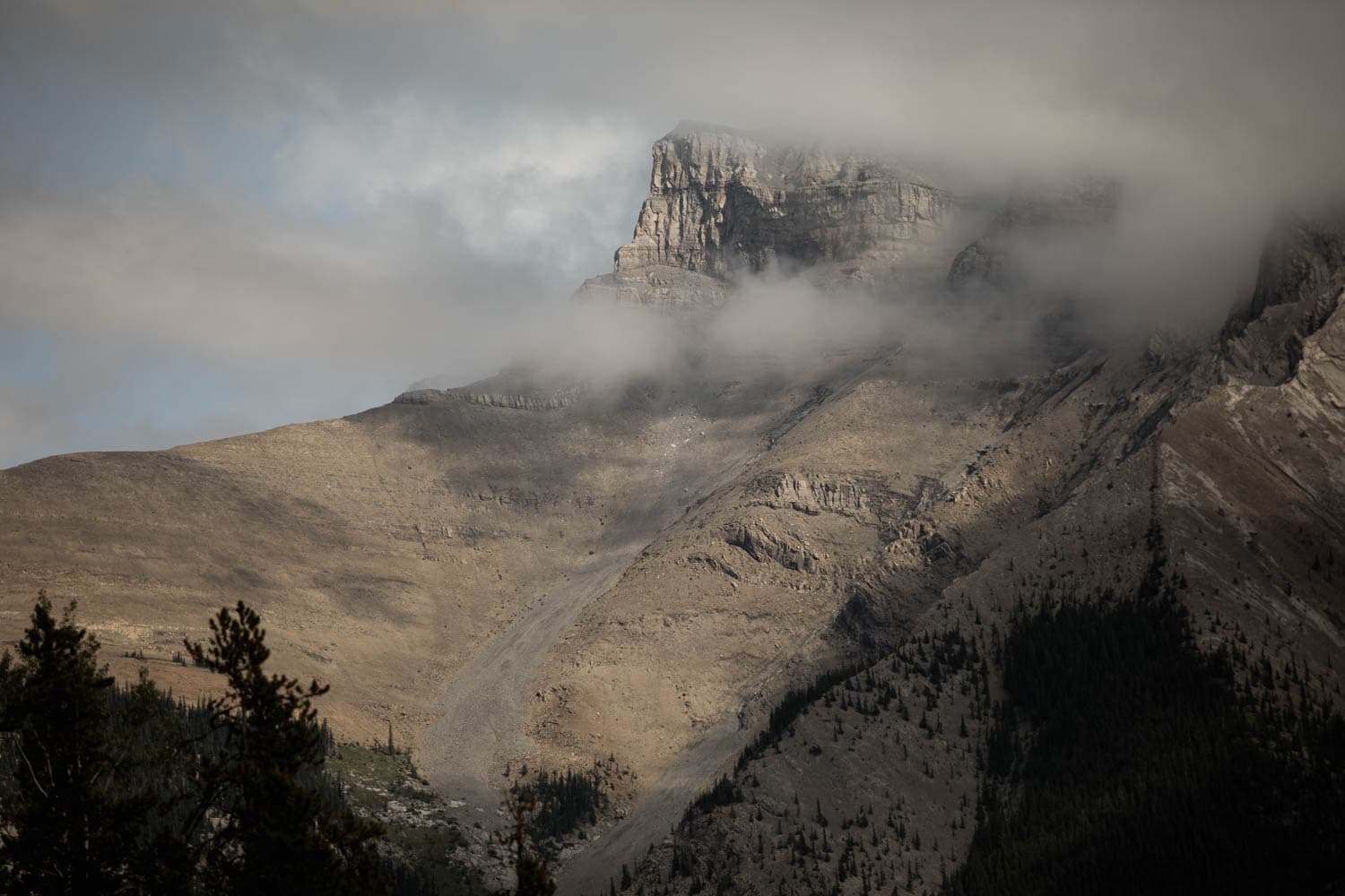 buffalo mountain lodge views