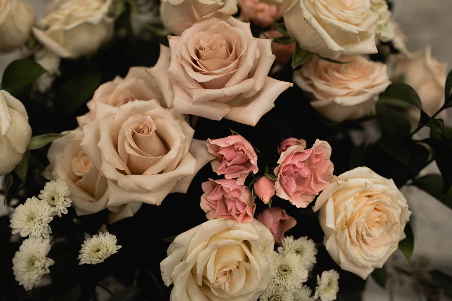 roses